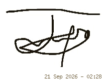 Signature of NGWAYU JOEL NAI